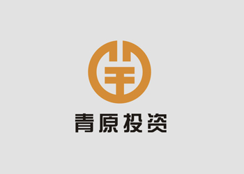 東莞青原投資理財標(biāo)志設(shè)計