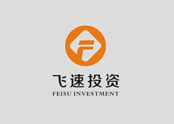 飛速實(shí)業(yè)投資公司品牌設(shè)計