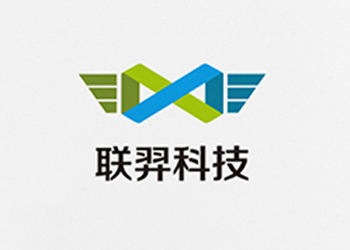 湖南聯(lián)羿科技公司標(biāo)志設(shè)計